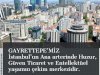 Gayrettepe'de Gayrimenkul Sahibi Olmak