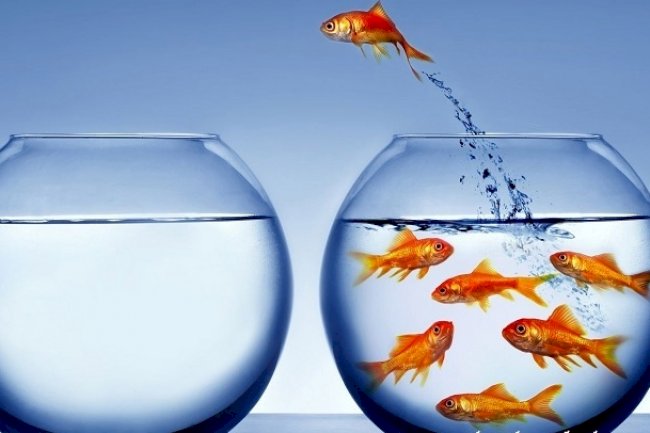 Değer Üretmek İçin Özgün Olmak