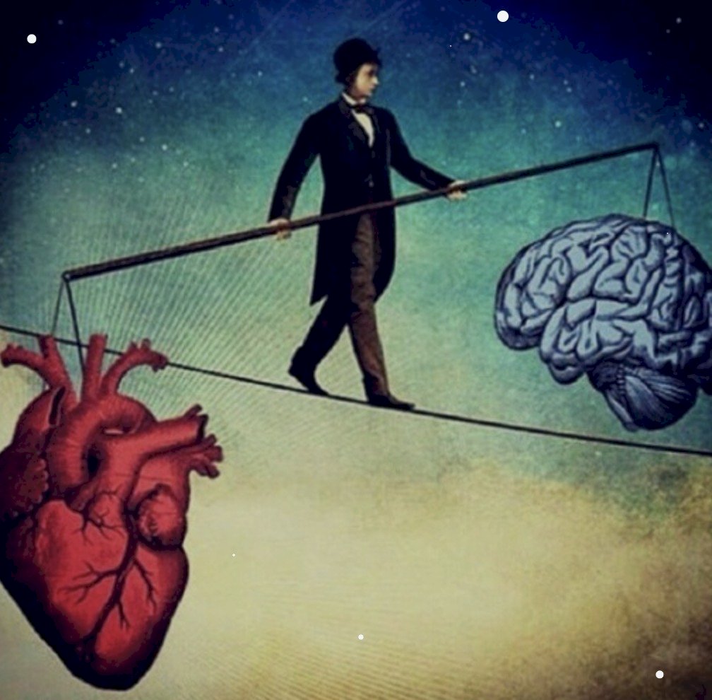 Gayrimenkul Sahiplerinin Konfor Alanı Sarmalı.