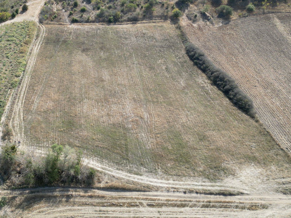 Gözde Parsel 10.750 m² – Yolu Açık, Verimli Toprak Satılık Tarla