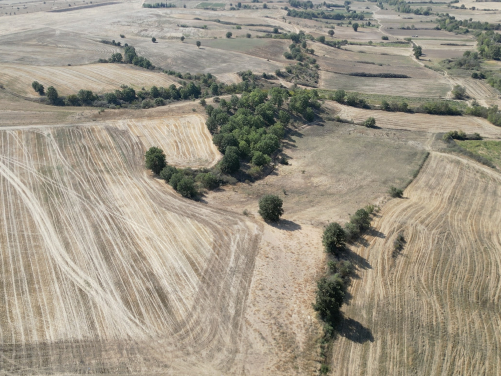 15.800 m² Ekim Alanı Köy Yakını Düz Arazi Satılık Tarla